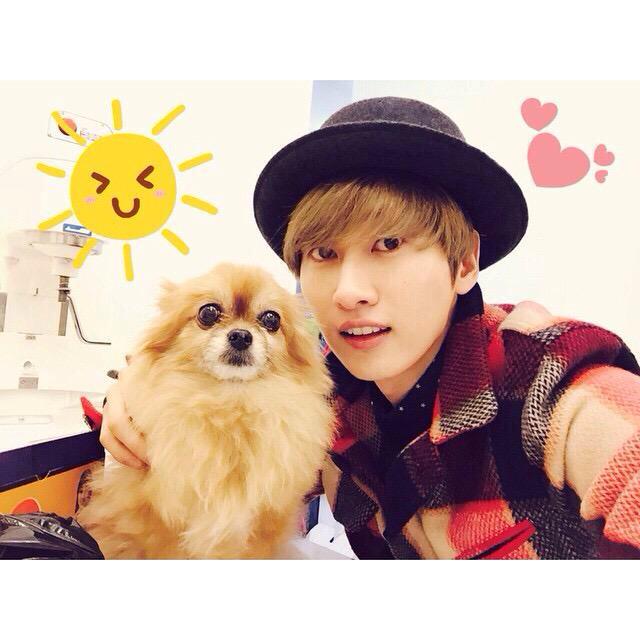 hgk_ahnk_1004's tweet photo. チョコちゃんみんなをなによりもひょくちゃんを笑顔にしてくれてありがとう
天国で安らかに眠ってね
これからもお空からひょくのことみんなのことを見守っててね
#RestinpeaceChoco
#쵸코야사랑해
#thankyouChoco http://t.co/w9AByT3rhL