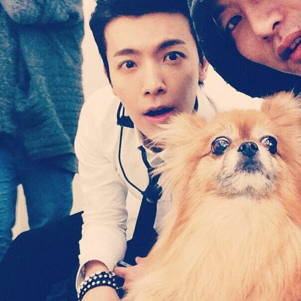 SJHikaruhae0711's tweet photo. #RestInPeaceChoco http://t.co/GqKjJSsVJA