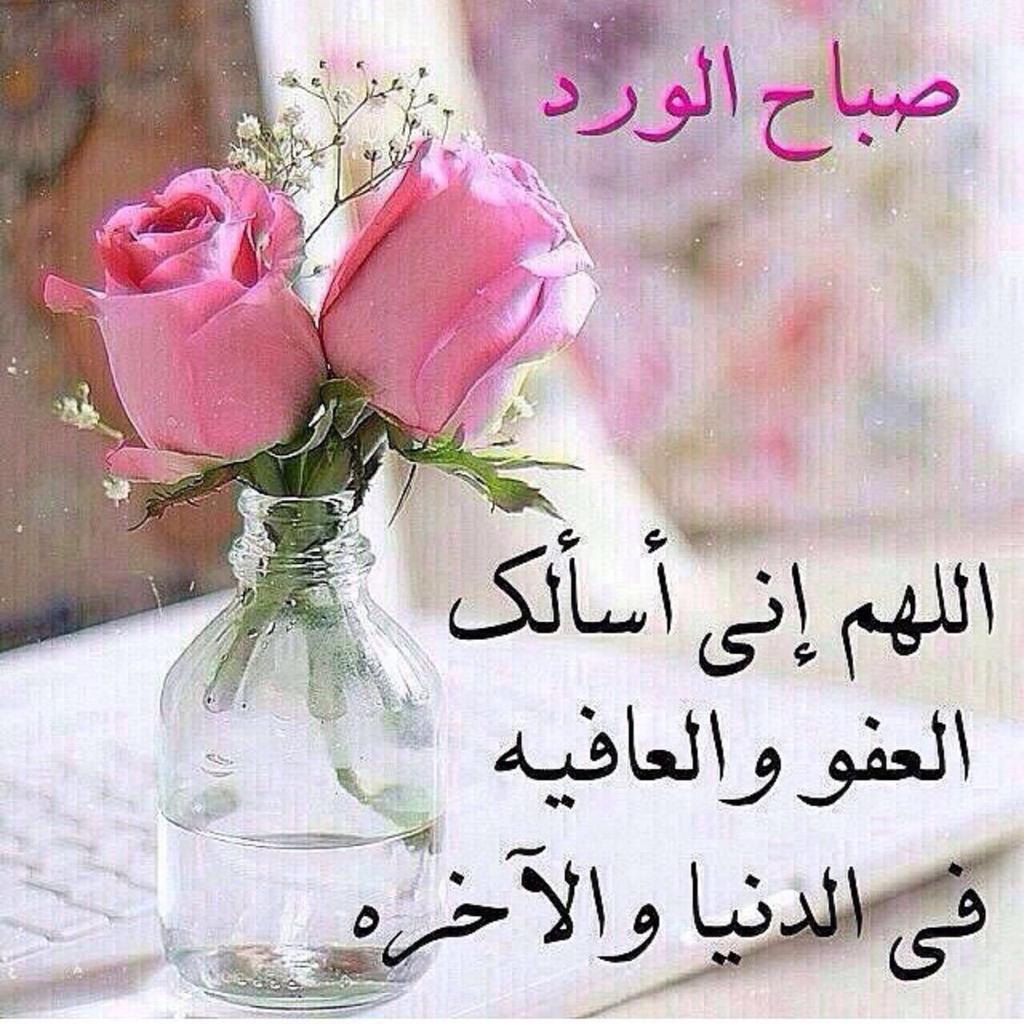 CARNATIONA_KHAL's tweet photo. http://t.co/MUIesH91Qp