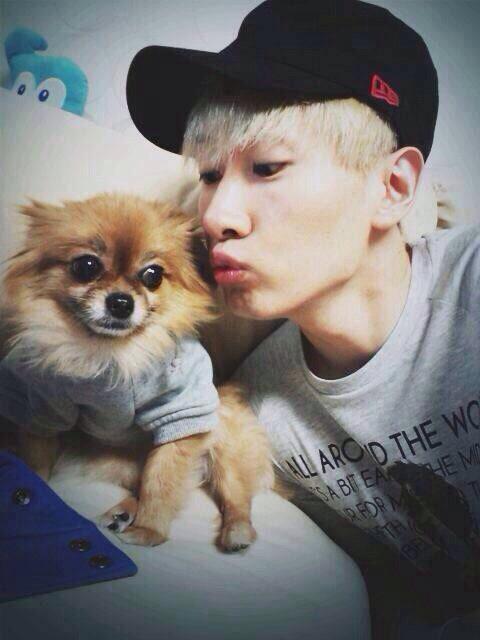 CHIP__twt's tweet photo. 本気でびっくり。
やばすぎる、急すぎて ..
最後まで頑張ったんだね。
ご冥福をお祈りします。
#PrayForChoco
#ThanksforChoco http://t.co/ynlkJgauk0