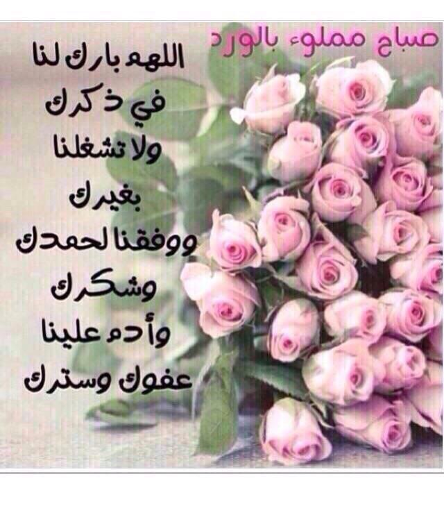 CARNATIONA_KHAL's tweet photo. http://t.co/Nxi4FYoNDa