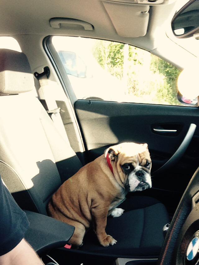 Car share with the boss to work this morning! <a href="/QuickbarLtd/">Quickbar</a>
