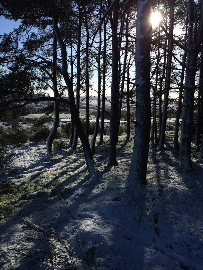 Little walk in the snow before breakfast. #sun #snow #visitroyaldeeside #kincardineoneil