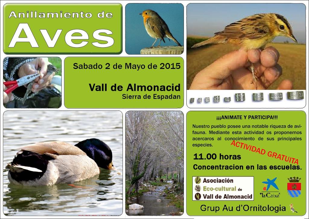 Pedro Luna tweet media