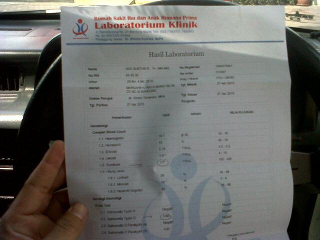 vidigustian|Dhio tweet media