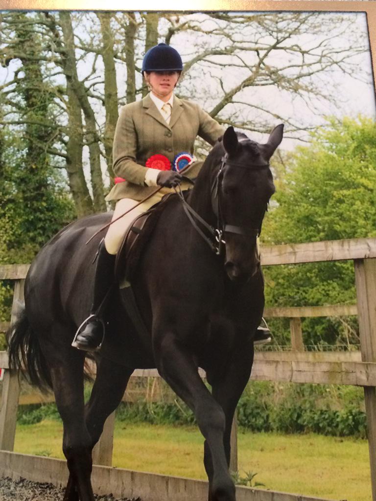 NatalieRampling's tweet image. My superstar hunter. Winning ridden hunter, qualifying equifest, then reserve champion. Loving this chap