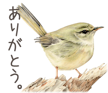 色鉛筆のtwitterイラスト検索結果 古い順 色鉛筆のtwitterイラスト検索結果 古い順