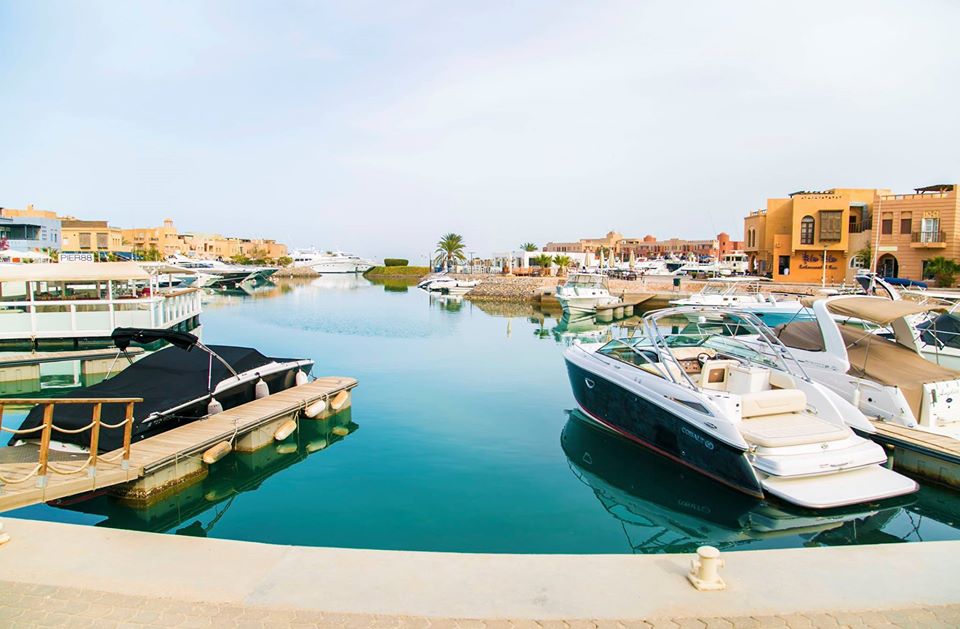 Mornings breakfasts to this view. #RemediesForMonday