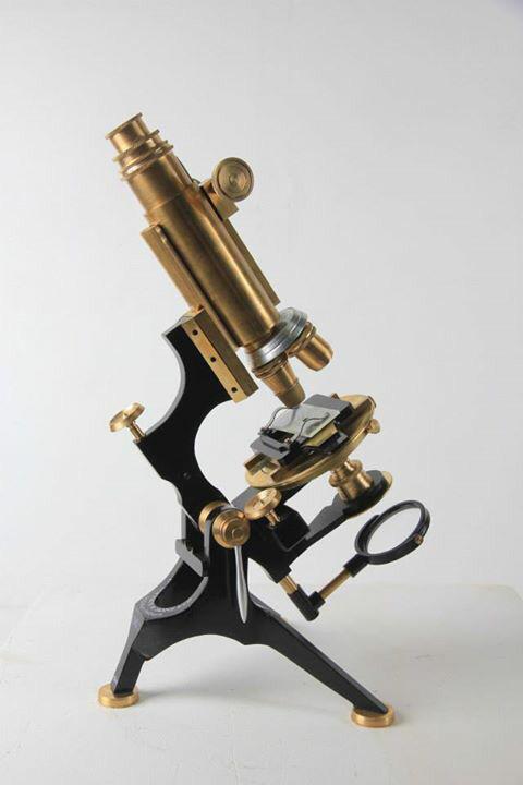 jackcavemodels tweet picture