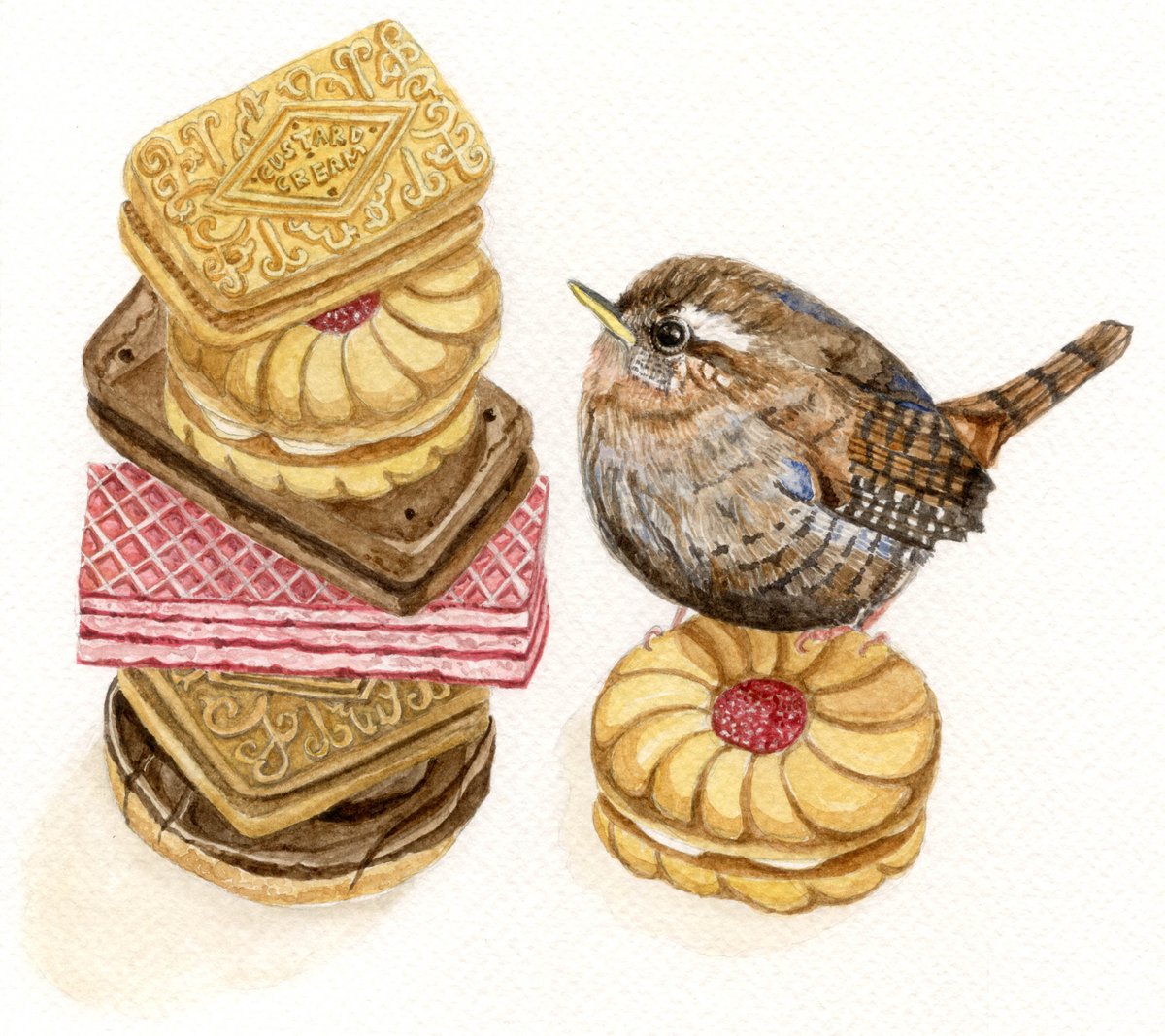 NicolaHanrahan's tweet photo. ...Flawless floof moos, pretty floral stags, and birds eating biscuits! Bring it on! @thebeardedtit @shopkeepers http://t.co/8YE6f0bD8C