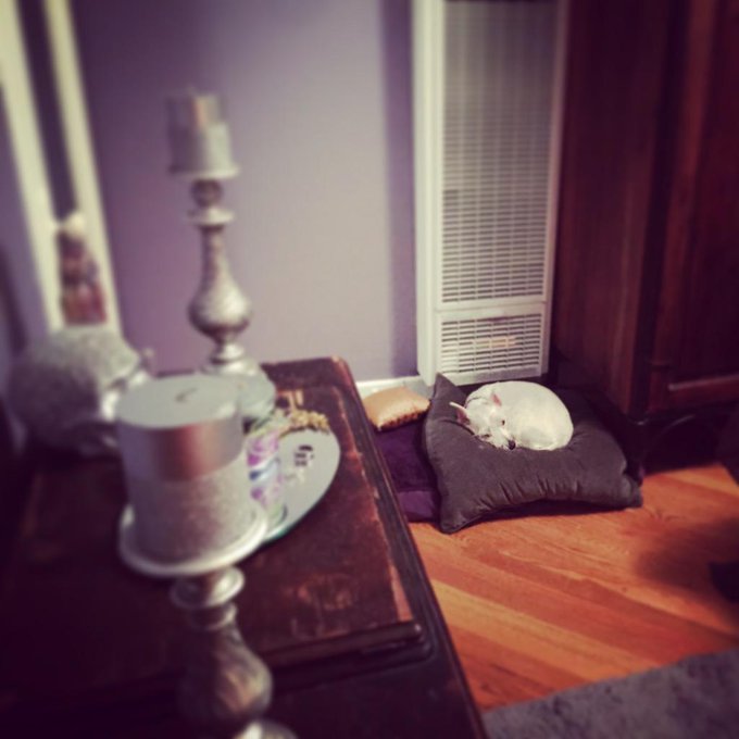 #goodnight http://t.co/y6Zi7XILmN<a href="/tag/goodnight"class="tags">#goodnight</a>