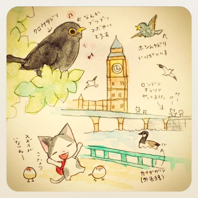 らくがきスケッチ:昨日はロンドン観光を楽しみました。ビッグベン付近にはいろいろな鳥がいました。クロウタドリも街路樹でさえずっています。街中はハトばかりでスズメはいなかったです。 