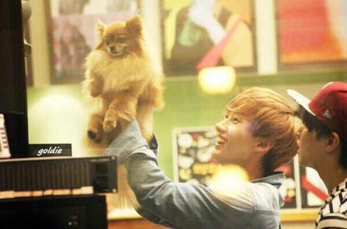 donghae0925's tweet photo. 名古屋の時から元気なくて、でも元気になったよ!って報告受けてやっぱり1週間ひょくのこと待ってたんだね
よく頑張ったねㅠㅠ
天国でもひょくのこと見守っててね
ありがとう
#ThanksforChoco
#ELFlovesChoco http://t.co/mkI4SCILmW
