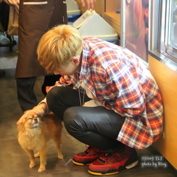 paula2009145's tweet photo. for the person thankyouChoco #RestInPeaceMyDearChoco http://t.co/DvF3wuWCVm