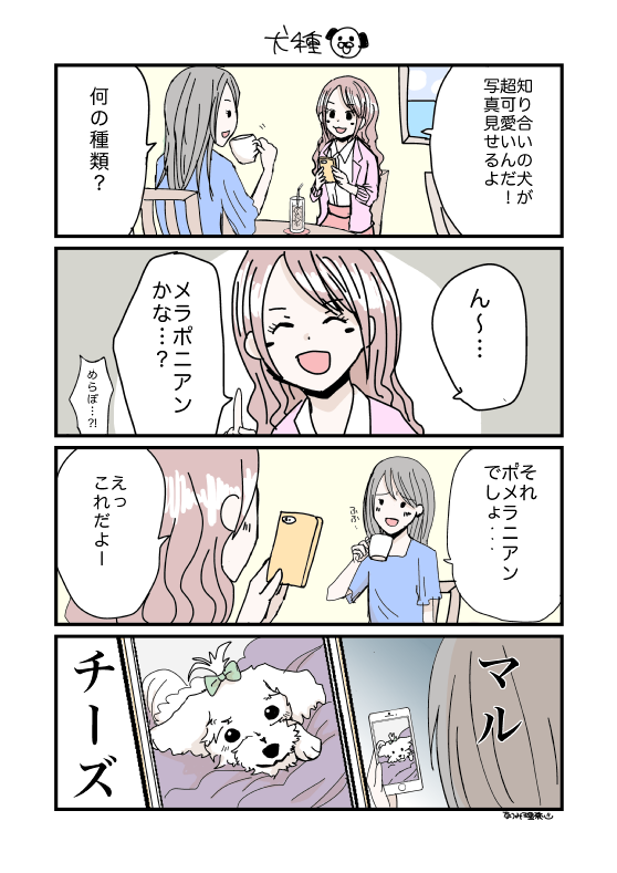 この前起きたびっくりだった事漫画🐕 