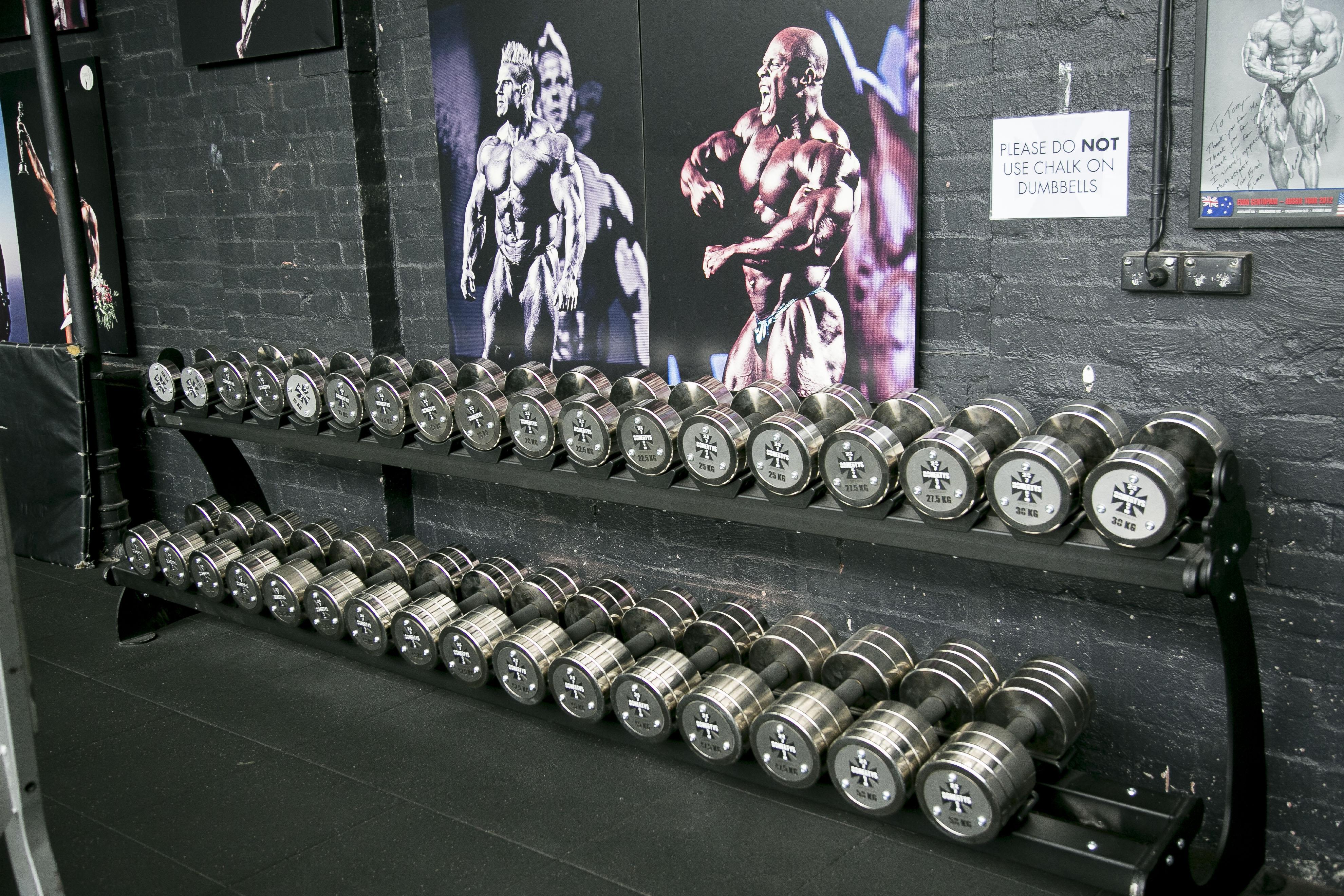 Watson gym dumbbells sale
