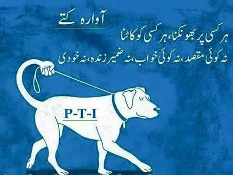 SyedMuhammadAsh's tweet photo. "@ZahidMansori: عمران کتے کی سی حرکات کرتا ھے
جبکہ کتا عمران بنے کی کوشش بھی نہيں کرتا #MQMThanksNA246 http://t.co/bfiiizucQA
