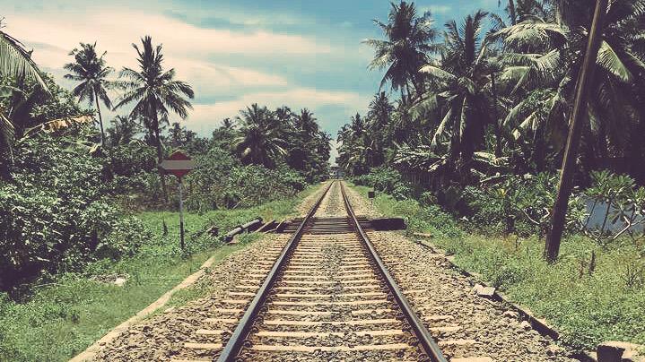 roberts_uk's tweet photo. #train travel in #SriLanka - home to some of the most spectacular railway journeys in the world http://t.co/iEj2IcmKhD