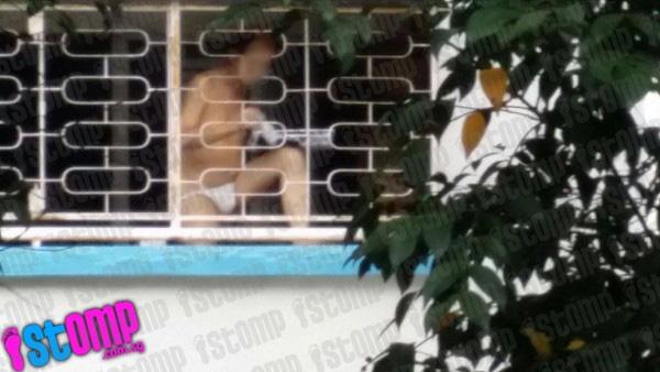 Embedded image permalink