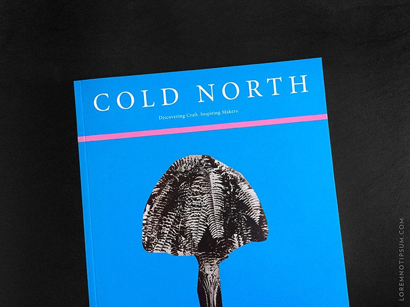 loremnotipsum's tweet photo. Say 'hello' to Issue 2 from @coldnorthmag — http://t.co/GCBvouBFgU http://t.co/YIxHN0jf6u