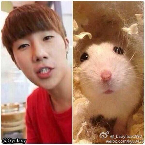 L_IRP's tweet photo. Happy birthday @Sunggyu_IRP hyung. I hope we can stay together as IRP Infinite member. Keep healthy juseyo, love you. http://t.co/475aCNR3p2