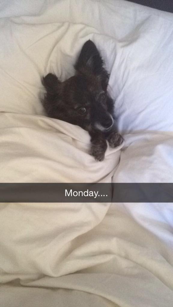 MsJoni's tweet photo. #currentmood http://t.co/J1XrTjaWC1
