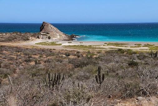 ConoceBC's tweet photo. El #MardeCortés y el Desierto de #BajaCalifornia: los custodios de #LosCabos https://t.co/pnigq9altS http://t.co/AWddkdOEKK