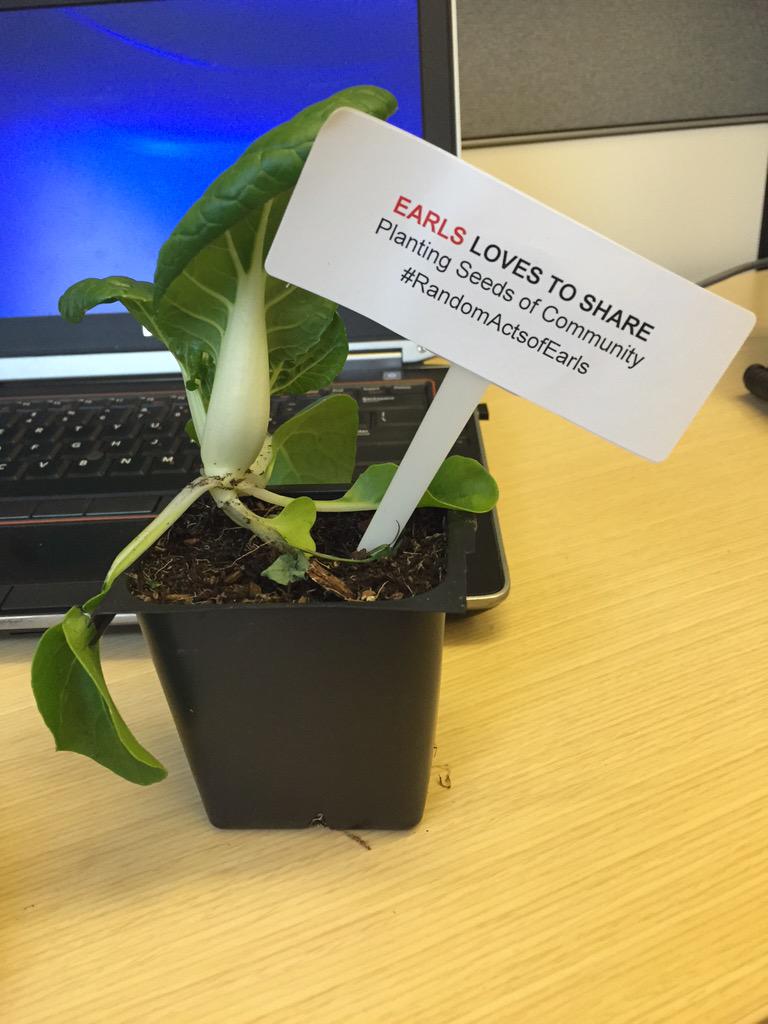 MikeLowe_'s tweet photo. Nothing like a little "toy choy" to clear up your Monday blues. #myearls #randomactsofearls http://t.co/zUpDptSMfz