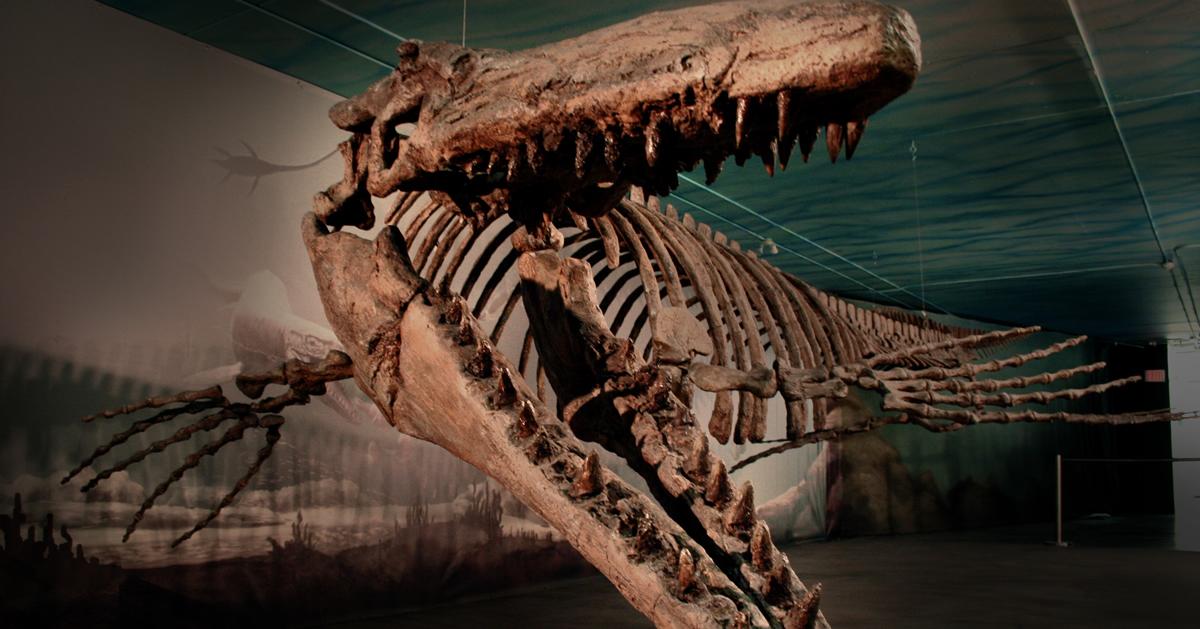 Permalink til innebygd bilde