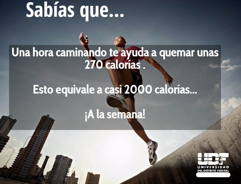 UDFsantamaria's tweet photo. Iniciemos la semana con la mejor actitud.
¡A caminar se ha dicho! #FelizLunes #UDF http://t.co/r1hs9BpXAB