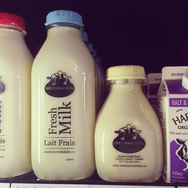 NEW Sheldon Creek Skim Milk &amp; 45% Cream in-store now. #smalldairy ift.tt/1z67NAV
