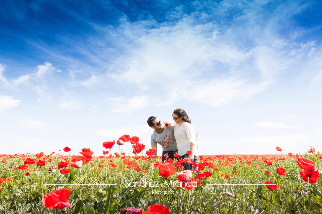 sanchezmiranda_'s tweet photo. Preboda Álvaro y Alba. #donbenito #fotografo #sanchezmiranda http://t.co/JZDm1Wgo6E