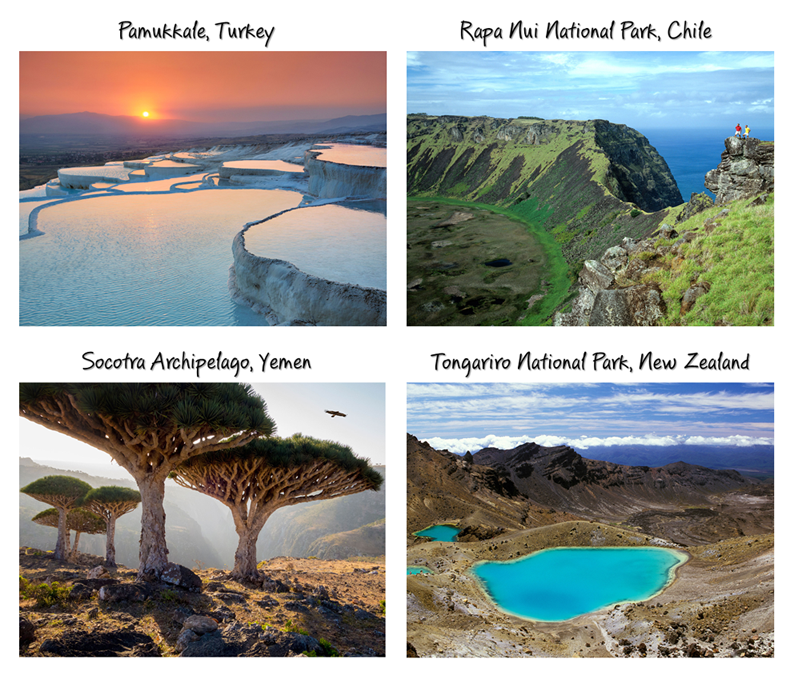 LinkwiseTravel tweet picture