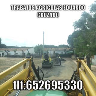 ese_edu's tweet photo. Los mejores trabajos http://t.co/IhzeGo73Jg