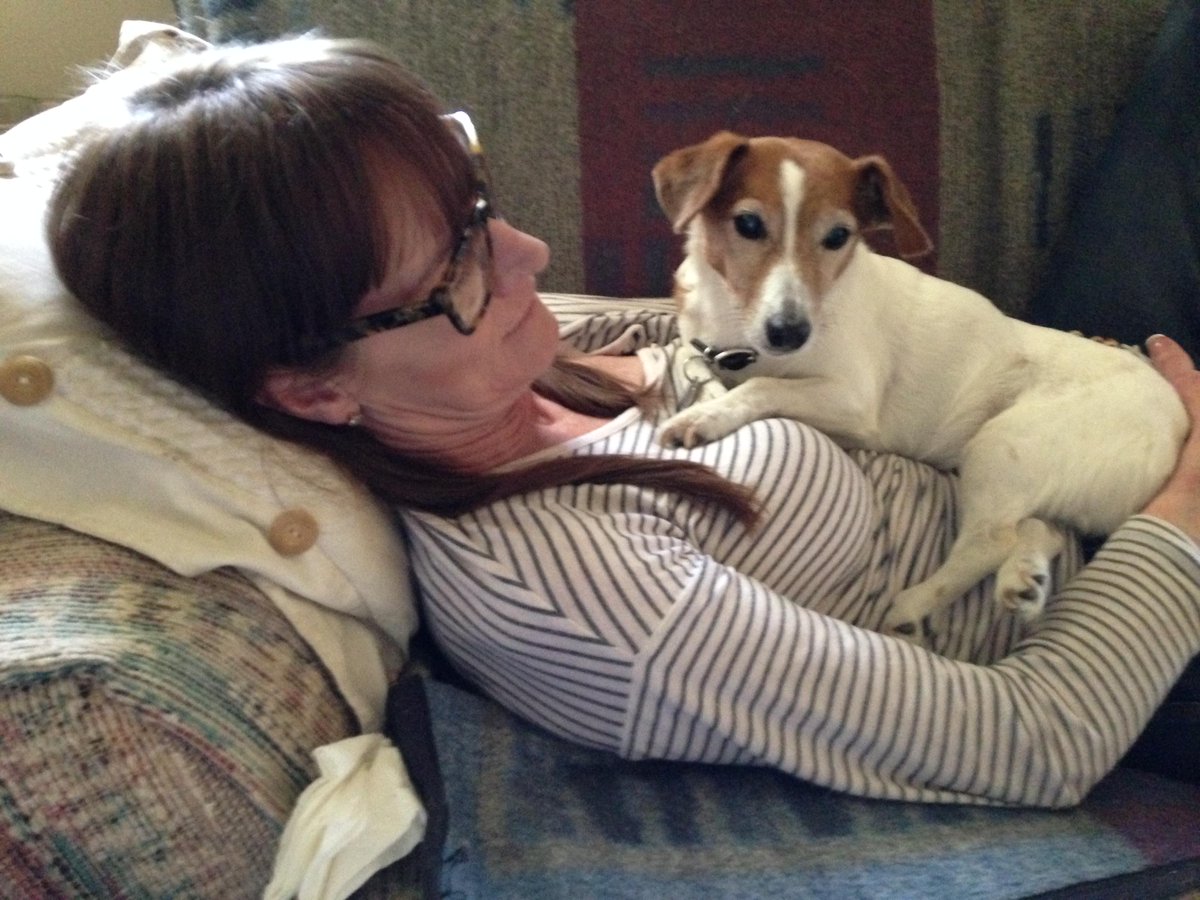 Lawrencejrjr's tweet photo. My Human's not a Victoria's Secret Model but we love her. @dogdongle @dogssaving @ThePetBlogLady http://t.co/8bENpFhZo1
