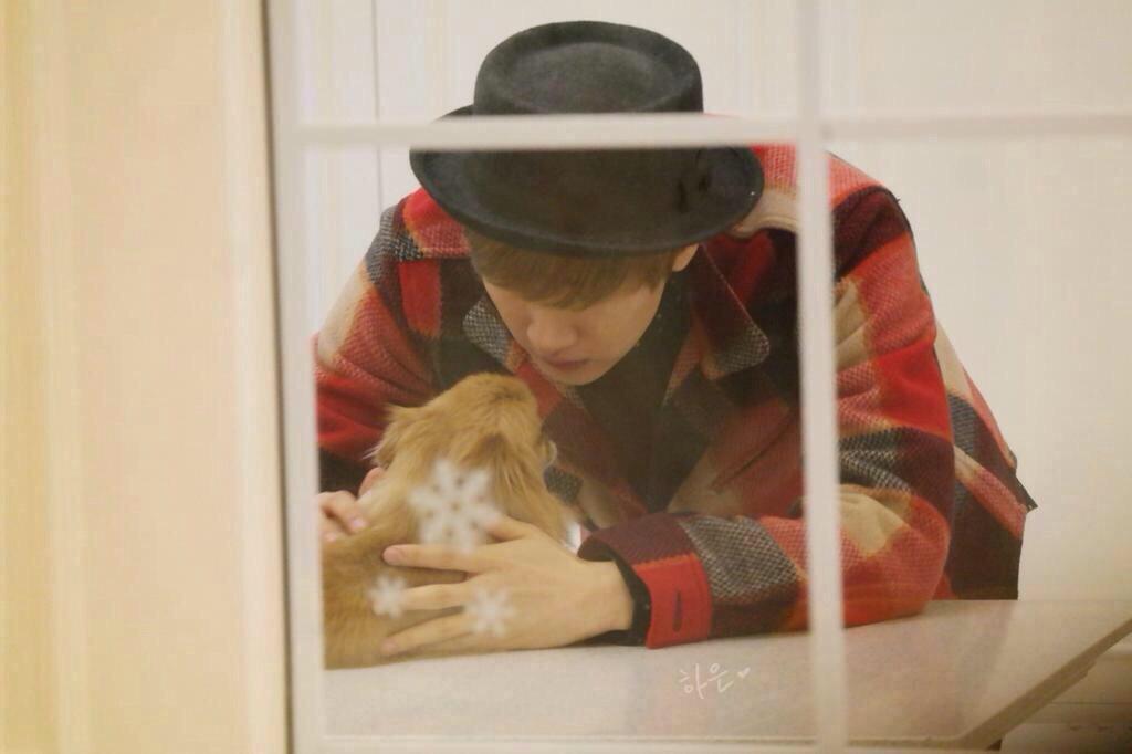 exo_ssj's tweet photo. #PlayForChoco
#Thanksforchoco
チョコちゃんありがとう
たくさん幸せをくれてありがとう
これからも、sjとひょくのこと
見守っててね( ; ; )
大好き( ; ; ) http://t.co/8EB0XaCCgP