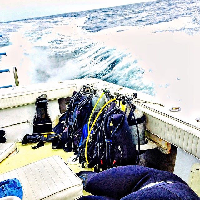 JanPigeon1's tweet photo. #TortugaCharters gettin' it done this weekend! #scuba #scubadiving #DiveNC http://t.co/dBVvo2AzCX