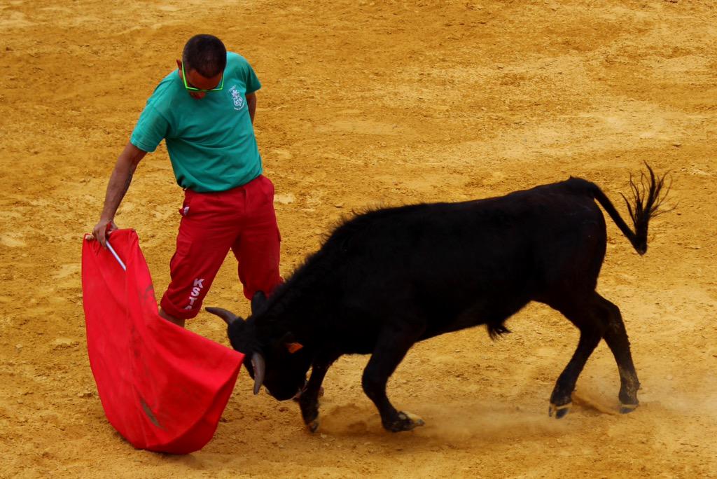 campanero55's tweet photo. Grandísimo fin de semana de INTERPEÑAS, disfrutando como un niño con el macho de Raul Monferrer... 😃 http://t.co/vHJBuYYpml