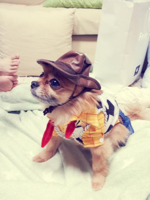 LeadHyolyn's tweet photo. #RIPChoco #WeLoveYouChoco #PrayForChoco http://t.co/ThDZ2VKygD