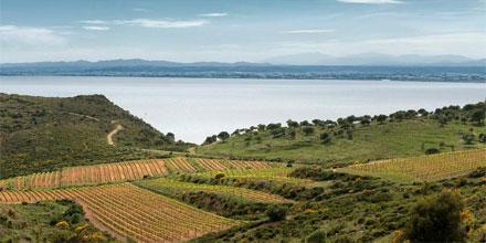 Demà 28, 19.00 h Viticultura #ecològica i #biodinàmica (Sr. Nicolas Joly) al #CapdeCreus pae.gencat.cat/ca/agenda-acti…