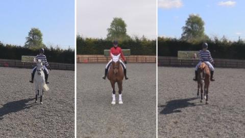 cromwellandlucy's tweet photo. That's our @EDressageLtd entries all done and entered! Good luck everyone! #TeamOutsideTheBox http://t.co/rk6veLbrm7