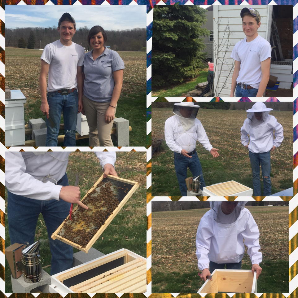 rnianson08's tweet photo. Buzz.....buzzzz My first SAE visit: Honeybee operation 🐝 @agladydi #psuaged15 #TeachAg #soblessed #lovemyjob http://t.co/UOI34ACveP