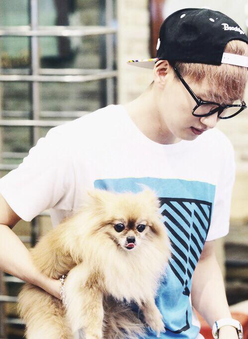 LoveHyuk8568's tweet photo. @AllRiseSilver Good night my princess #Choco #ThankYouChoco http://t.co/UhxwLt9jM3
