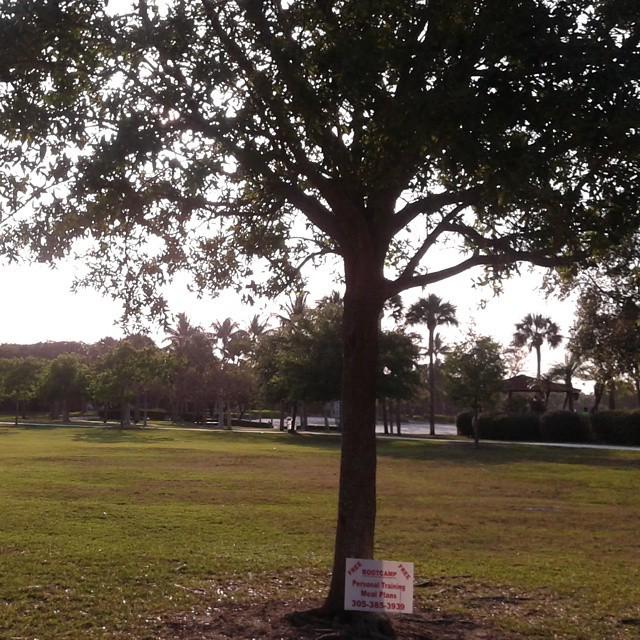 FitCalENGLISH's tweet image. @vanitybysandra posted #runmode #runtoinspire

Soy mejor de lo que era ayer pero no tan bueno como seré mañana :) F…