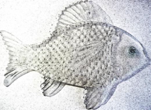 posthumanist's tweet photo. 1 DAY AUCTION Premium Domain Name http://t.co/sLm7TYj8ee keywords aquarium science  http://t.co/6yqd0vuzRL via @eBay http://t.co/VH7i1DhqBa