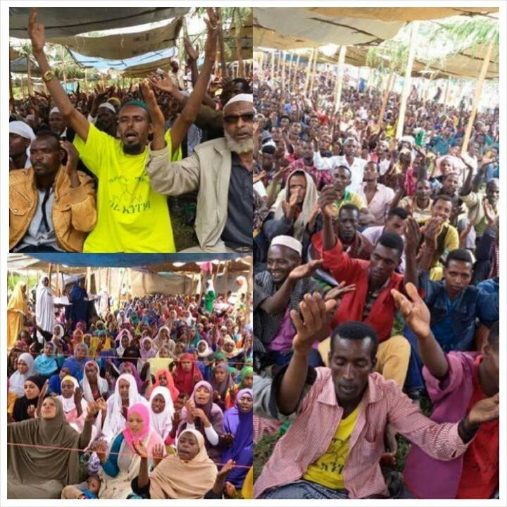 aydafuad's tweet photo. በሊቦ ከተማ ኢሉባቦር ዞን ለመስጂድ ማሰሪያ በተካሄደው ፕሮግራም ተሳታፊዎች ለኮሚቴዎቻችን አጋርነታቸውን ገለጹ
ሰኞ ሚያዝያ 19
ትግላችን እስከድል ደጃፎች በአላህ ፈቃድ ይቀጥላል http://t.co/4pJrMGleBT