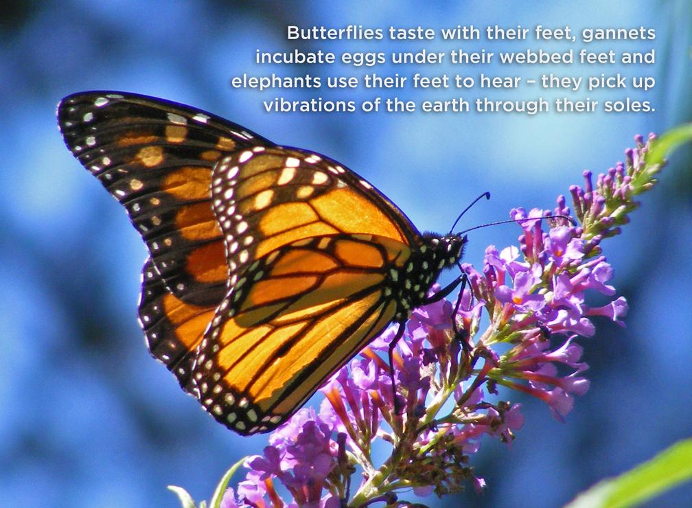 LBG_Medical's tweet photo. Did you know... http://t.co/AibKShIwwz