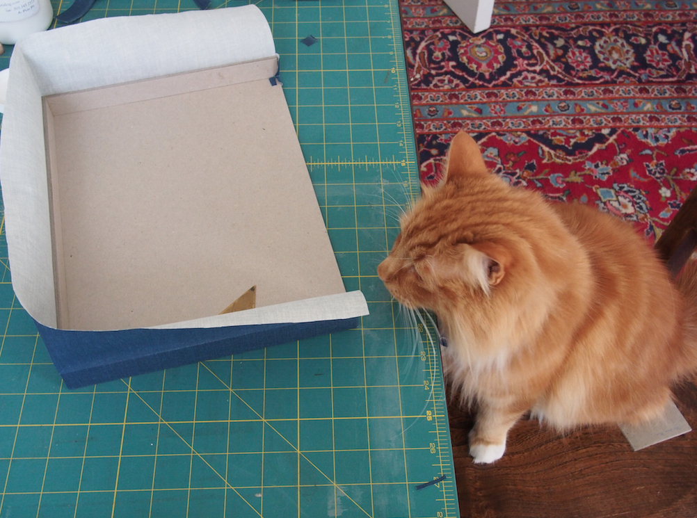 BainbridgeCons's tweet photo. #conservationcat making a #dropspine #box for a #vellum #binding on #MewseumMonday @CuratorialCats http://t.co/TEyKSsfKqd