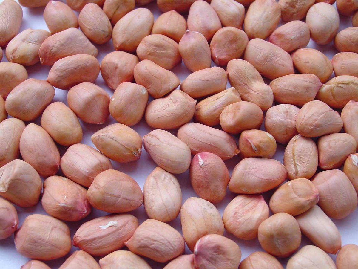 FarmbizAfrica tweet media