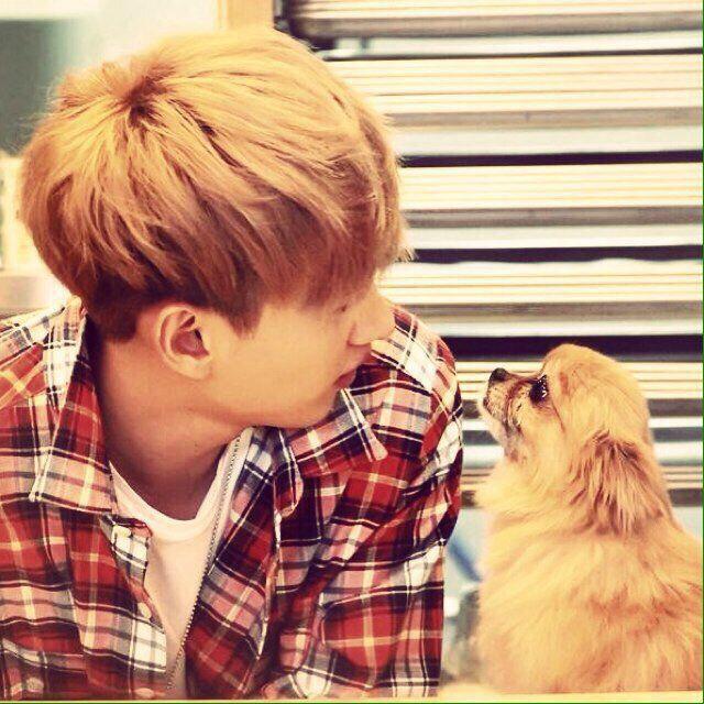 kook7395's tweet photo. チョコ幸せな時間をありがとう（；＿；）
ヒョクちゃんを見守っていてね（；＿；）
涙がとまらない（；＿；）
#PrayForChoco 
#ThankYouChoco http://t.co/OUhjbaUqo9